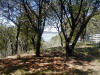Lake Travis -Tract #2